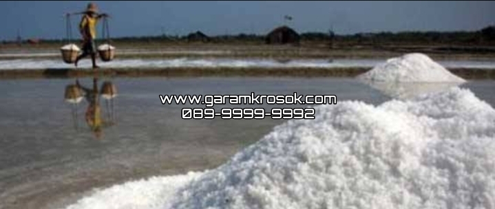 Harga Garam Krosok di Madura untuk Pembelian Besar